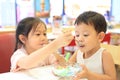 Asian sister and her little brother eating icecream together. Child girl feeding ice cream for baby boy in cafe Royalty Free Stock Photo