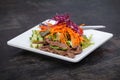 Asian Sliced Beef Salad with red cabbage and Carrots Royalty Free Stock Photo