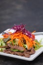 Asian Sliced Beef Salad with red cabbage and Carrots Royalty Free Stock Photo
