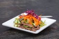 Asian Sliced Beef Salad with red cabbage and Carrots