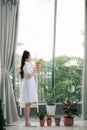 Asian smiling woman holding and looking at tree in the planted pot. Concept idea of planting trees as a happy hobby Royalty Free Stock Photo