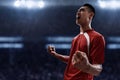 Asian soccer player celebrating goals Royalty Free Stock Photo