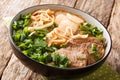 Asian soup made of stewed or braised beef, broth, vegetables and Chinese noodles closeup in a bowl. horizontal Royalty Free Stock Photo