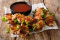 Asian spicy chicken skewered with green onion and chili sauce cl