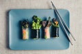 Asian spring rolls on ceramic plate. Royalty Free Stock Photo