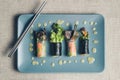 Asian spring rolls on ceramic plate. Royalty Free Stock Photo