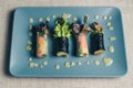 Asian spring rolls on ceramic plate. Royalty Free Stock Photo