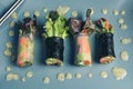 Asian spring rolls on ceramic plate. Royalty Free Stock Photo