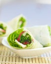 Asian spring rolls Royalty Free Stock Photo