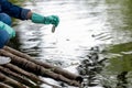 Asian student biology taking and testing  sample of natural river water. Experts science women keep water for research explore ana Royalty Free Stock Photo