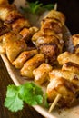 Asian style chicken breasts yakitori Royalty Free Stock Photo