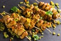 Asian style chicken breasts yakitori Royalty Free Stock Photo