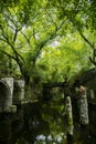 Asian style garden design, plants, pond, stone bridge