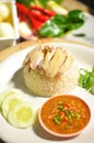 Asian style hainan chicken rice with sauce Royalty Free Stock Photo