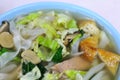 Asian style soup noodles Royalty Free Stock Photo