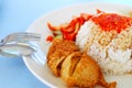 Asian style vegetarian chicken rice Royalty Free Stock Photo