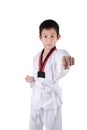 Asian Taekwondo boy posting on white