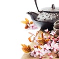 Asian tea pot with cherry blossom Royalty Free Stock Photo