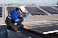 Asian technician installing inspection or repair solar cell panels on background field of photovoltaic solar panels Royalty Free Stock Photo