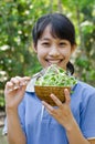 Asian Teenager Girl Happy with The Vegetable Sunflower Sprouts. Royalty Free Stock Photo