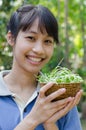 Asian Teenager Girl Happy with The Vegetable Sunflower Sprouts. Royalty Free Stock Photo