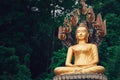 Asian Thai Golden Buddha sitting with Naka snake