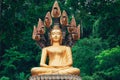 Asian Thai Golden Buddha sitting with Naka snake