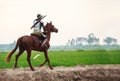 Asian Thai Warrior in traditional armor suit riding horse in rural farm background. Vintage Retro war costume concept Royalty Free Stock Photo