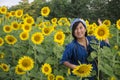 Asian thai woman travel and posing for take photo at sunflower field Royalty Free Stock Photo