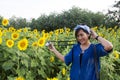 Asian thai woman travel and posing for take photo at sunflower field Royalty Free Stock Photo