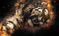 Asian tiger, fire illustration.