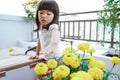 Asian toddler gardening at home Royalty Free Stock Photo