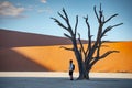 Asian tourist standing with dead tree in deadvlei Royalty Free Stock Photo