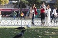 Asian tourists photograph birds. Sultanahmet square was photographed. On a sunny day