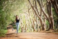 Asian tourists woman on view point at Tea garden doi angkhang T Royalty Free Stock Photo