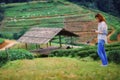 Asian tourists woman on view point at Tea garden doi angkhang T Royalty Free Stock Photo