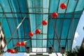 Asian traditional bright red lanterns hanging at street with blue glass roof on background for decoration during the Royalty Free Stock Photo