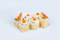 Ebi Tempura Sushi Roll pieces with black tiger shrimp served on light gray background Royalty Free Stock Photo