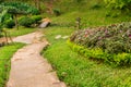 Asian tranquil garden with stone path, pond with beautiful landscape design