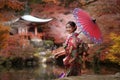 Asian traveler girl in Kimono traditional dress walking in old temple in Autumn season Royalty Free Stock Photo