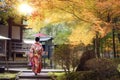 Asian traveler girl in Kimono traditional dress walking in old temple in Autumn season Royalty Free Stock Photo