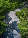 Asian traveler holiday relax with bicycle in nature park Royalty Free Stock Photo