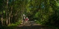 Asian traveler holiday relax with bicycle in nature park Royalty Free Stock Photo