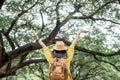 Asian traveler woman backpacker raise arm up  look at view and enjoy moment at green forest season,Freedom wanderlust travel.solo Royalty Free Stock Photo