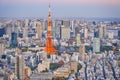 Asian Traveling Destinations. Twilight View of Picturesque Tokyo Skyline During Blue Hour