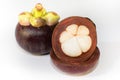 Asian tropical know as mangosteen fruit on white background Royalty Free Stock Photo