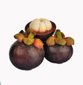 Asian tropical mangosteen fruit Royalty Free Stock Photo