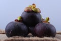 Fresh asian tropical mangosteen fruit