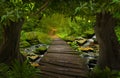 Asian tropical rainforest with bridge Royalty Free Stock Photo