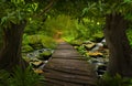 Asian tropical rainforest with bridge